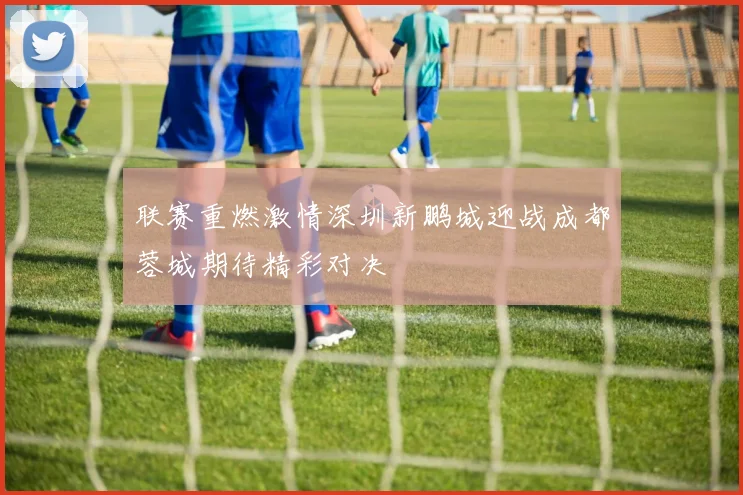 联赛重燃激情深圳新鹏城迎战成都蓉城期待精彩对决